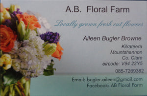  best plants flowers florist